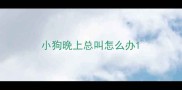 小狗晚上总叫怎么办