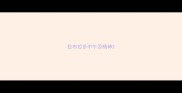 拉布拉多中午没精神