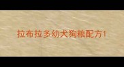 拉布拉多幼犬狗粮配方