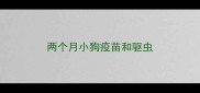 两个月小狗疫苗和驱虫