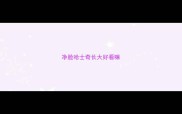 净脸哈士奇长大好看嘛