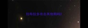 拉布拉多攻击其他狗吗