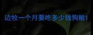 边牧一个月要吃多少钱狗粮