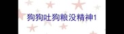 狗狗吐狗粮没精神