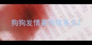 狗狗发情要持续多久