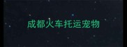 成都火车托运宠物