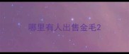 哪里有人出售金毛