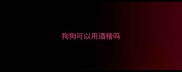 狗狗可以用酒精吗