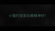 小猫打疫苗拉稀精神好