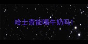 哈士奇能喝牛奶吗