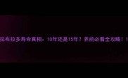 拉布拉多寿命真相10年还是15年养前必看全攻略