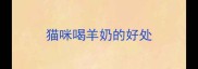 猫咪喝羊奶的好处