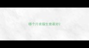 哪个月卖猫生意最好