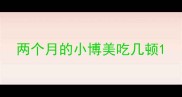 两个月的小博美吃几顿