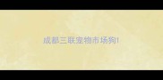 成都三联宠物市场狗
