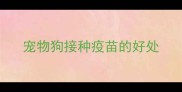 宠物狗接种疫苗的好处