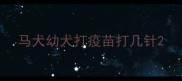 马犬幼犬打疫苗打几针