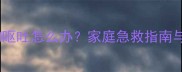 狗狗误食异物呕吐怎么办家庭急救指南与预防措施全