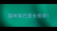 猫咪嘴巴里长疱疹