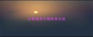 公泰迪多大做绝育合适