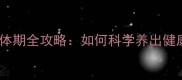 拉布拉多长身体期全攻略如何科学养出健康大体重犬
