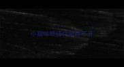 小猫咪眼睛化脓睁不开