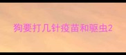 狗要打几针疫苗和驱虫