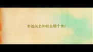 泰迪灰色和棕色哪个贵