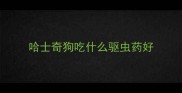 哈士奇狗吃什么驱虫药好