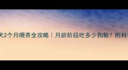 泰迪幼犬2个月喂养全攻略月龄阶段吃多少狗粮附科学喂养表