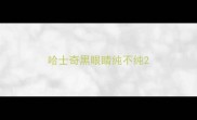 哈士奇黑眼睛纯不纯