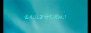 金毛几岁开始爆毛