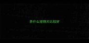 养什么宠物犬比较好