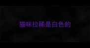 猫咪拉稀是白色的