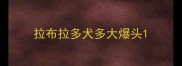 拉布拉多犬多大爆头