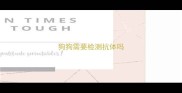 狗狗需要检测抗体吗