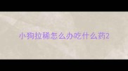 小狗拉稀怎么办吃什么药