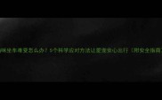 猫咪坐车难受怎么办5个科学应对方法让爱宠安心出行附安全指南