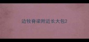 边牧脊梁附近长大包