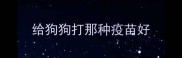 给狗狗打那种疫苗好