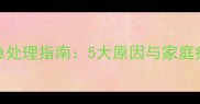 小狗便秘腹胀的紧急处理指南5大原因与家庭疗法附兽医建议