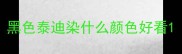 黑色泰迪染什么颜色好看