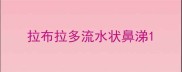 拉布拉多流水状鼻涕