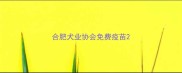 合肥犬业协会免费疫苗