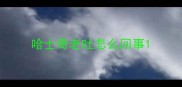 哈士奇老吐怎么回事
