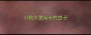 小狗大便有长的虫子