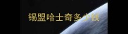 锡盟哈士奇多少钱