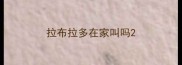 拉布拉多在家叫吗