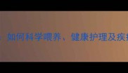 南京家养拉布拉多全攻略如何科学喂养健康护理及疾病预防附最新饲养指南