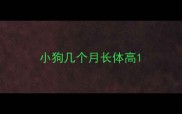 小狗几个月长体高